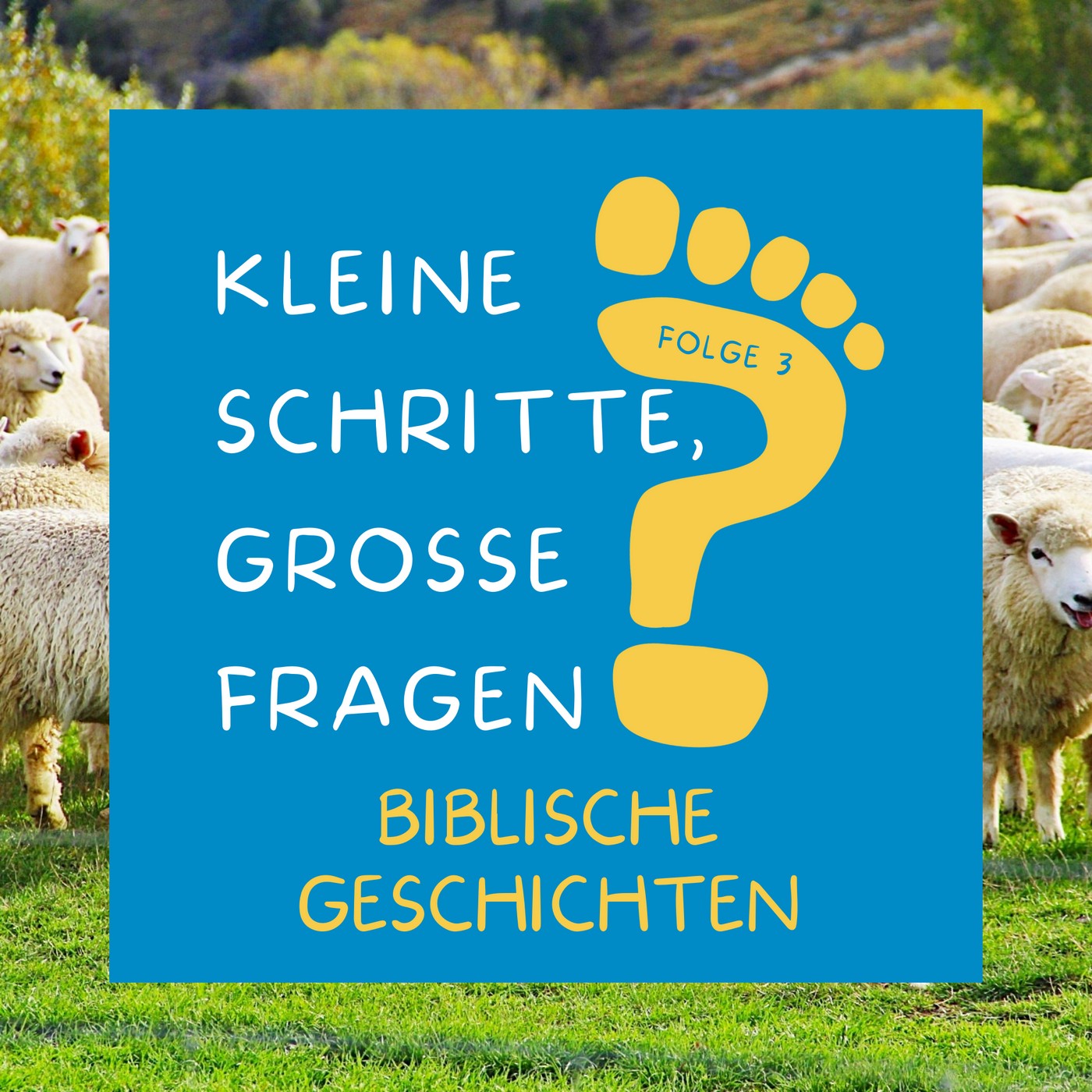 Kleine Schritte, große Fragen